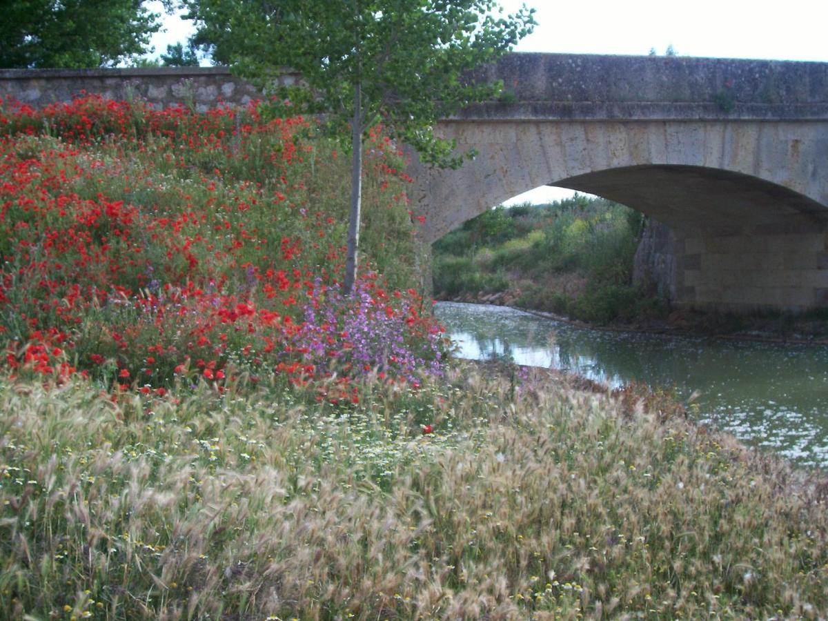 Quinta Del Canal ξενώνας Tamariz de Campos Εξωτερικό φωτογραφία